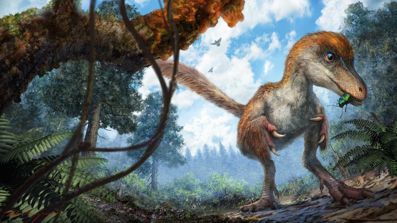Artistic impression of a young coelurosaur. (Image: Chung-tat Cheung)